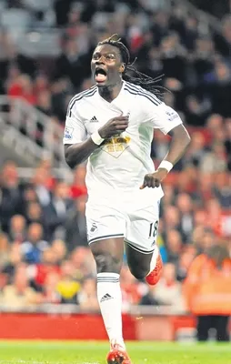 İşlem tamam Gomis Aslan