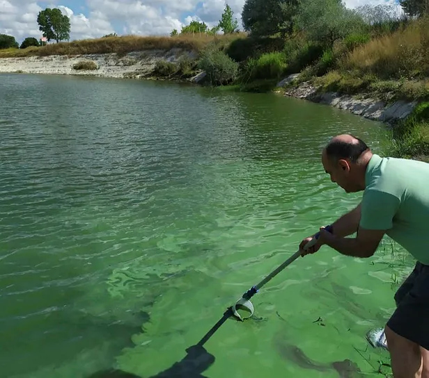 siyanobakteri-nedir-neden-olur-siyanobakteri-zararlari-nedir-istanbul-sazlidere-barajinda-siyanobakteri-alarmi-1657886721438.jpg Siyanobakteri zararları nedir? Siyanobakteri nedir, neden olur? İstanbul Sazlıdere Barajı'nda siyanobakteri alarmı!-2
