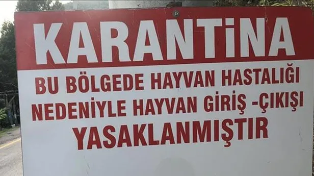 Son dakika: Konya'nın Ilgın ilçesinde veba karantinası! Giriş çıkışlar kapatıldı-2