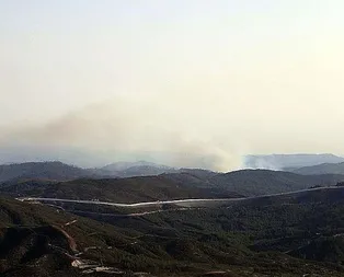 Türkmendağı’nda orman yangını