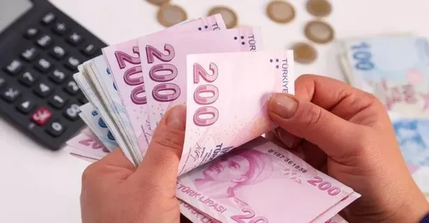 Bakanlıktan 65.000 TL hibe müjdesi! e-Devlet’ten başvurun!