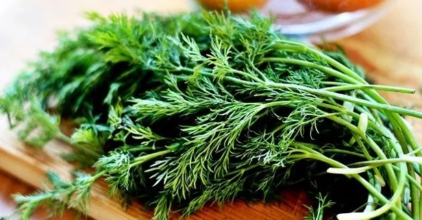 Dereotunun faydaları sıralamakla bitmiyor