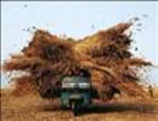 Taşımacılıkta Son Nokta