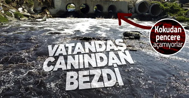 Çorlu Deresi'nde mide bulandıran görüntü! Vatandaş kokudan pencere açamıyor