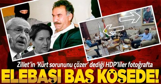 Terörün siyasi ayağı HDP’nin yalanı bir kez daha deşifre oldu! Elebaşı Öcalan’ın fotoğrafı altında görüştüler
