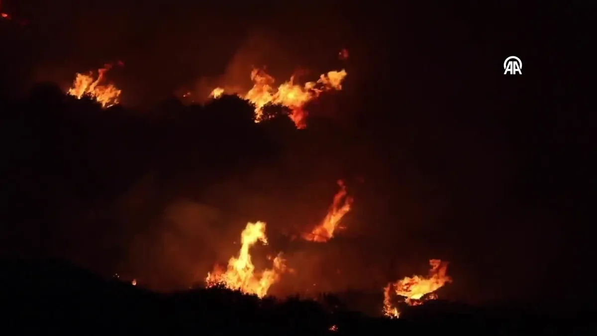 Uşak'ta orman yangınına müdahale ediliyor