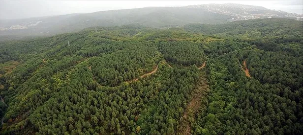 Orman yangınlarına müdahalede etkinlik "erken uyarı" sistemiyle arttı: 15-25 saniyede tespit ediliyor!-5