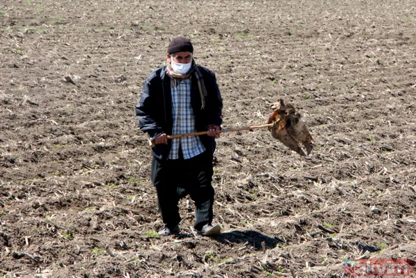 Adana'da iğrenç manzara! Dere yatağında çok sayıda at ve eşek kafası ile kemikler bulundu - 15