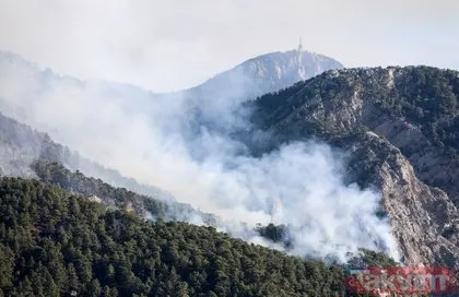 SON DAKİKA: Antalya’da orman yangını! Yıldırım düşmesi sonucu çıktı Göynük Koyu’na doğru ilerliyor