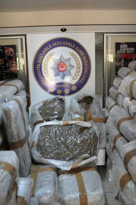 Milas'ta uyuşturucu şebekesine operasyon: 1,5 ton Skunk ele geçirildi - 2