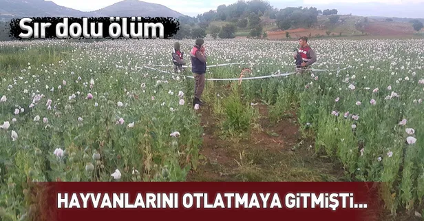 Hayvanlarını otlatmaya gitti, ölü bulundu