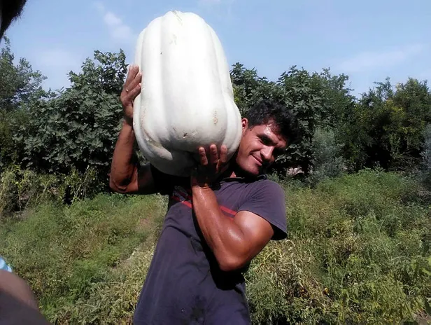 Görenler gözlerine inanamadı! Tek başına...-1