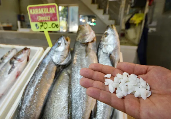 baligin-kilosu-70-lira-kafasindaki-tasin-kilosu-600-lira-1631170020466.jpg Balığın kilosu 70 lira! Kafasındaki taşın kilosu 600 lira-7