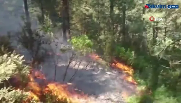 İstanbul Pendik'teki Aydos Ormanı'nda yangın
