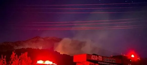 Munzur Vadisi Milli Parkı’nda orman yangını