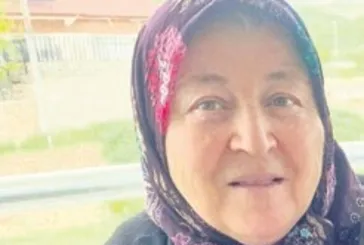 Muhtarın üç köpeği saldırdı kurtarılamadı