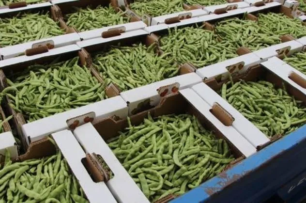 "Pazaryeri boncuğu" 4 kilosu 360 bin liraya satıldı!