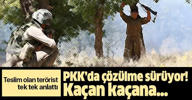 Teslim olan PKK’lıdan çarpıcı itiraf! Örgüt içinde işkence ve infazlar başladı