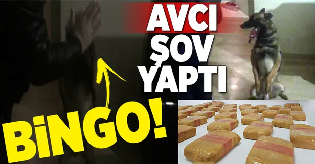 Jandarma 'Avcı' ile yakaladı