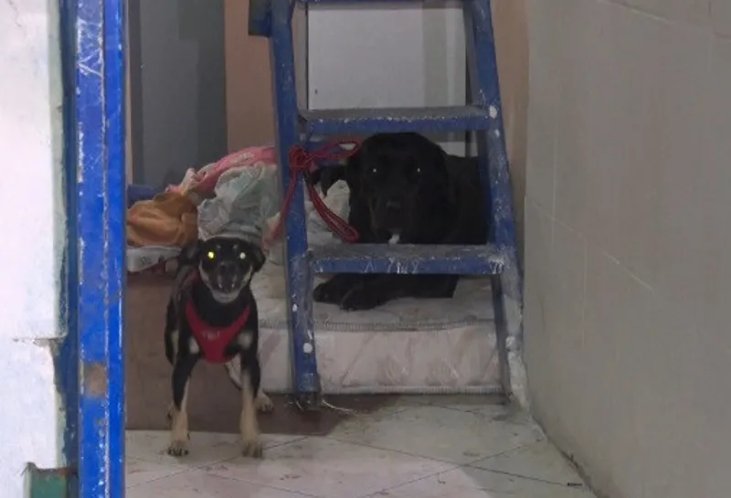 İstanbul'da narkotik operasyonu! Çete lideri eski polis çıktı - 3