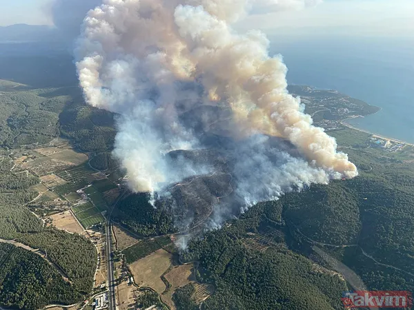 İzmir ve diğer illerde alevler kontrol altına alındı! Menderes'i yakan 'hobi' Çeşme'de izmarit izi: Bakan 'haftaya dikkat' diyerek uyardı - 36