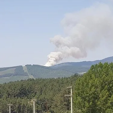 Bursa’da orman yangını: Havadan karadan müdahale!