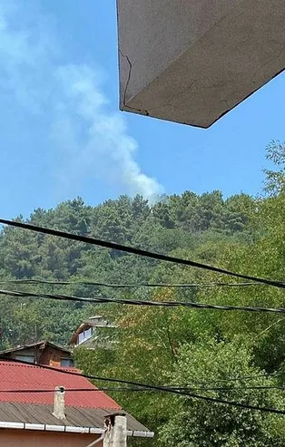 Son dakika: İstanbul Beykoz'da ormanlık alanda yangın: "3 kişi geldi, kaçarken gördük"