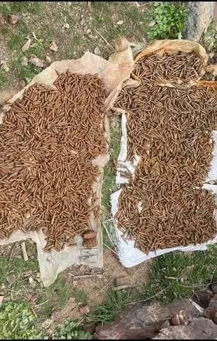 Son dakika: Pençe-Kilit Operasyonu'nda terör örgütüne ait çok sayıda mühimmat ele geçirildi