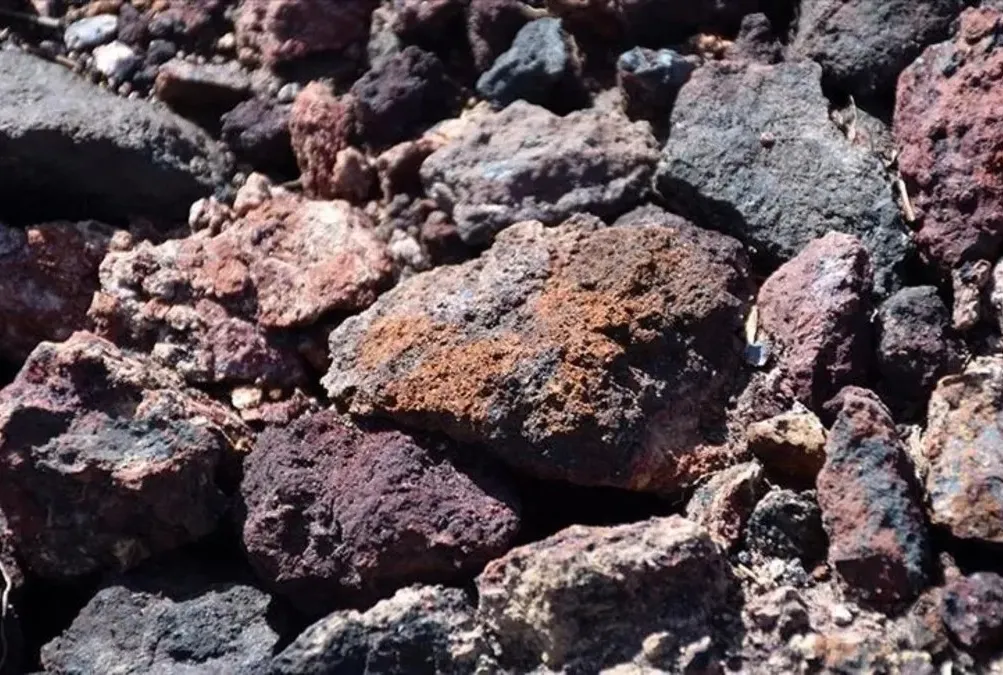 CHP NTE’yi engellemek istedi