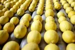 Limon sindirimi kolaylaştırır
