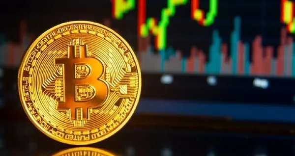 Coin çılgınlığı marka başvurularına sıçradı: 267 coin için marka başvurusu yapıldı-4