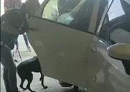 Hakkaride uyuşturucu zulalı araç yakalandı!