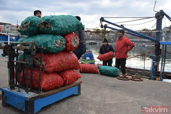 10,4 milyon dolar kazandık! Türkiye dünyaya deniz salyangozu ihraç ediyor - 8