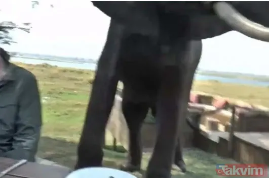 Sadece fotoğraf çektirmek istedi genç kız hayatının şokunu yaşadı! Bir anda üzerine atladı ne var yok... - 20