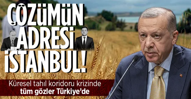 Rusya-Ukrayna savaşının yol açtığı gıda krizinde çözüm İstanbul'da!