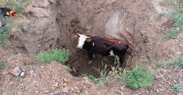 Pendik'te ilginç operasyon! 5 saatlik esaret son buldu