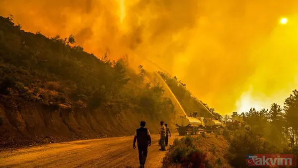 Yanan ormanlar ne olacak? Ağaçlandırma çalışması sonbaharda başlayacak - 29