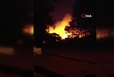 Ayvacık’ta orman yangını!