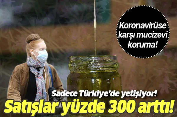 Koronavirüsten sonra talep patlaması! Satışlar yüzde 300 arttı! Kekik yağı koronavirüsten korur mu?-1