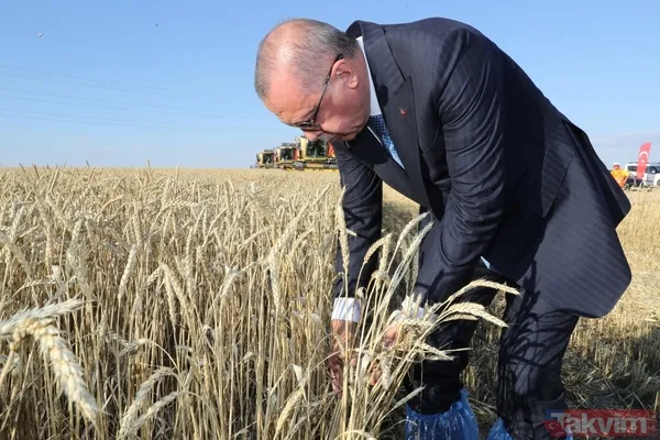 Başkan Erdoğan biçerdöverde buğday hasatı yaptı - 25