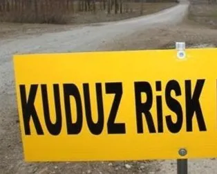 Kayseri’de kuduz karantinası