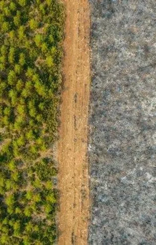 Ormanlarda emniyet şeritlerinin açılması yangınlarla mücadelede hayati öneme sahip!