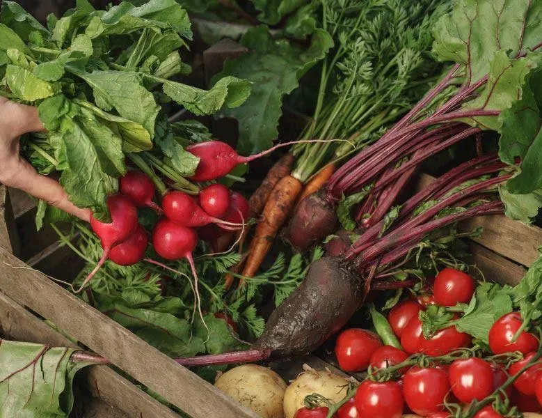 Altın kırmızısı