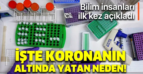 Bilim insanları ilk kez açıkladı! İşte koronavirüsün altında yatan neden!-1