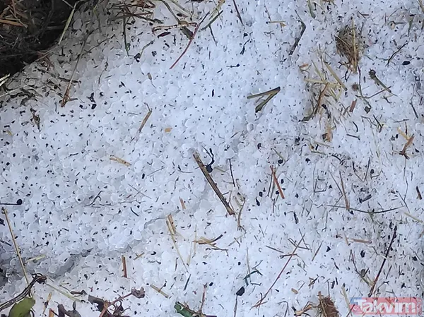 SON DAKİKA: Edirne'de sabaha karşı dolu yağdı! 10 bin dekar çeltik ziyan oldu - 11