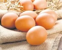 Rekabet Kurulu harekete geçti: Yumurta üreticilerine ’kartel’ cezası