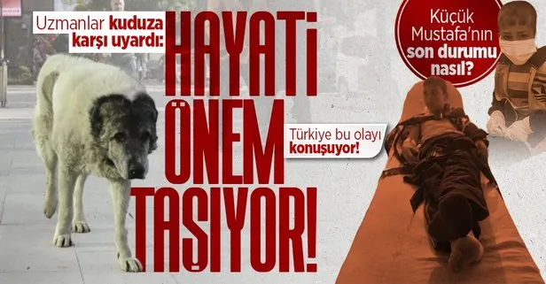 Türkiye kuduz vakasını konuşuyor! Uzmanlardan çok kritik uyarı: Hayati önem taşıyor | Kuduz tedavisi gören Mustafa Erçetin’in durumu nasıl?