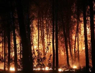 6 orman yangını kontrol altına alındı!