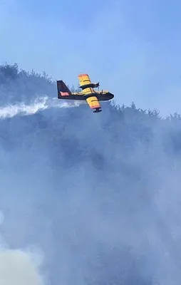 Antalya'da orman yangını