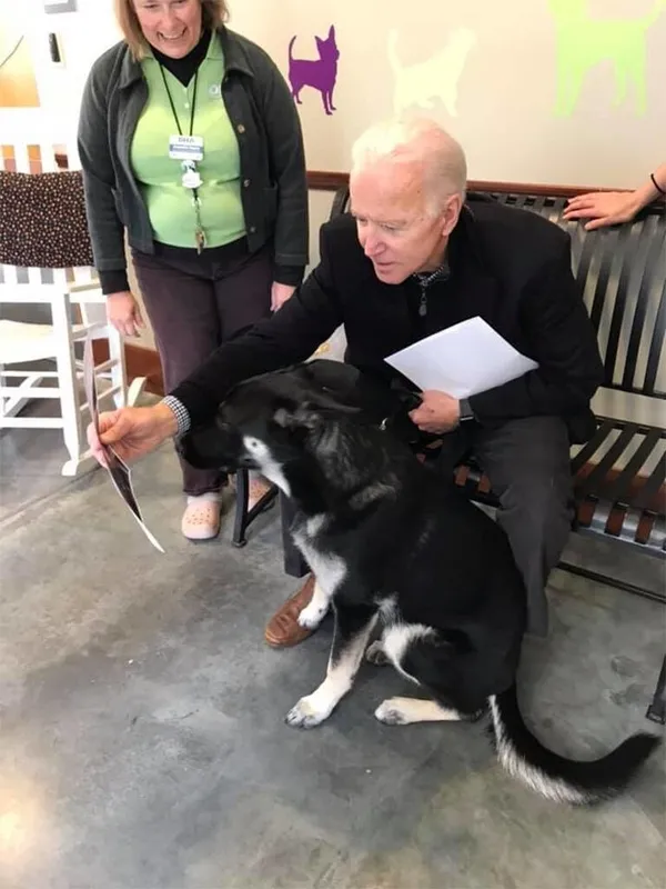 abd-baskani-secilen-joe-biden-kopegiyle-oynarken-ayak-bilegini-catlatti-1606731658790.jpg ABD Başkanı seçilen Joe Biden köpeğiyle oynarken ayak bileğini çatlattı-6